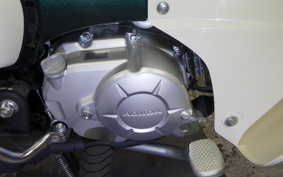 HONDA C50 SUPER CUB 2021 AA09