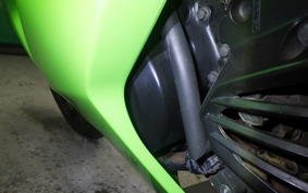 KAWASAKI NINJA 250R 2010 EX250K