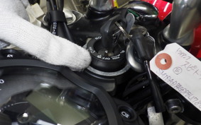 TRIUMPH SPEED TWIN 900 2023