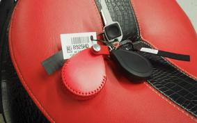 HARLEY FLI1870 2025