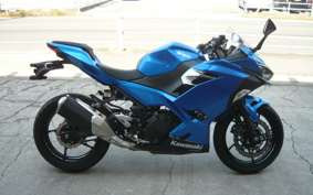 KAWASAKI NINJA 250 EX250P