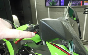 KAWASAKI NINJA 400 2024 EX400L