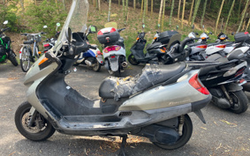 HONDA FORESIGHT MF04