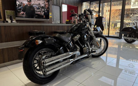 HARLEY FXST1340-1450 2020 BVJ