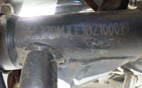 OTHER +UNREGISTERED MODEL by BDS125