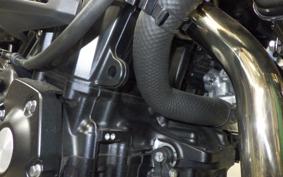 KAWASAKI Z900RS 2024