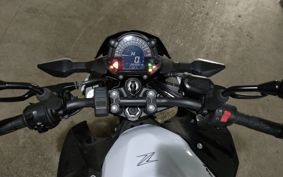 KAWASAKI Z250 EX250P