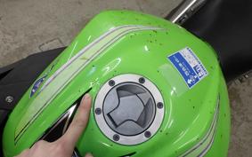 KAWASAKI NINJA 250 2025 EX250L