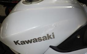 KAWASAKI Z250 ER250C