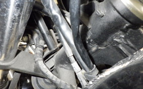 KAWASAKI GPX250R 2019 EX250E