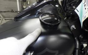 HARLEY FXFBS1870 2019