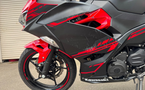 KAWASAKI Ninja 250 ABS EX250P