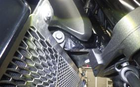 KAWASAKI Z900RS 2025 ZR900K