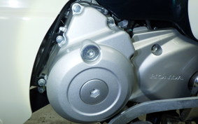 HONDA C110 SUPER CUB 2021 JA59