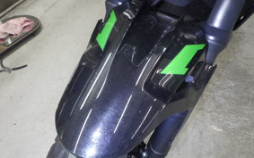 KAWASAKI Z250 Gen.2 2025 EX250Y