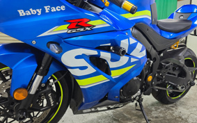 SUZUKI GSX-R1000R 2019 DM11A