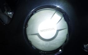 HONDA CBR1100XX 1999
