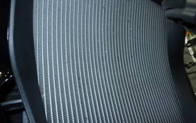 DUCATI DIAVEL X S 2019