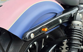 HARLEY XL883N 2017 LE2