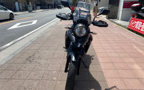 SUZUKI STROM 250 DS11A