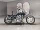 Фото Yamaha DRAGSTAR 250 с японского аукциона