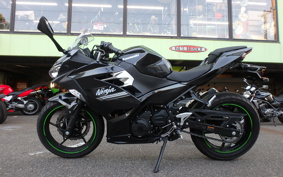 KAWASAKI NINJA 250 EX250P