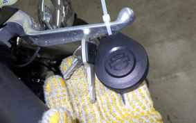 HARLEY FLFB 1750 2019