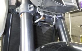 KTM 1290 SUPER DUKE R 2015