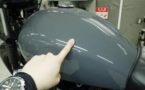 OTHER MUTT ヒルツ250