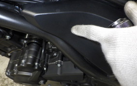 HONDA REBEL 250 2021 MC49