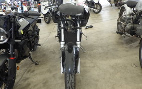 KAWASAKI ZZ-R250 2025 EX250H