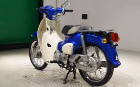 HONDA C110 SUPER CUB