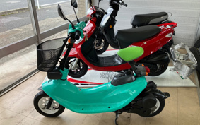 HONDA ZOOK AF26