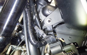 HARLEY XL1200CX 2020