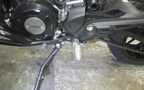 DUCATI SCRAMBLER ICON 2024