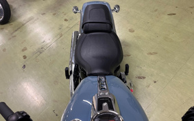 HARLEY  HARLEY FLFBS 2025 YGK