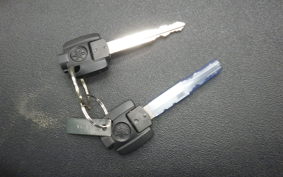 YAMAHA CYGNUSｸﾞﾘﾌｧｽ 2022 SEJ4J