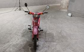 HONDA LITTLE CUB C50