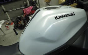 KAWASAKI ZX-4R SE 2024 ZX400P