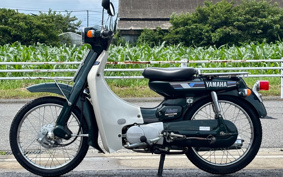 YAMAHA MATE50DX V50