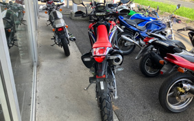 HONDA CRF250 RALLY MD44