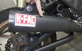 KAWASAKI ZRX1200 D 2017 ZRT20D