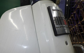 HONDA C50 SUPER CUB 2025 C50