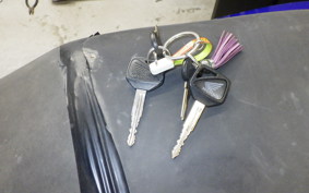 HONDA CBR1100XX 2000