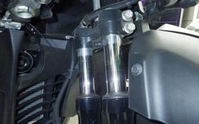 YAMAHA TRICITY 300 2021 SH15J