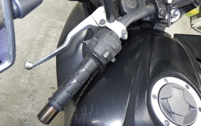 KAWASAKI Z250