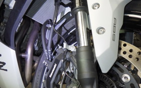 KAWASAKI ZX-4R SE 2024 ZX400P