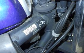 YAMAHA YZF-R25 RG10J