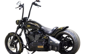 HARLEY FXBRS 2021 YHK