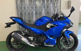 KAWASAKI NINJA 250 EX250P